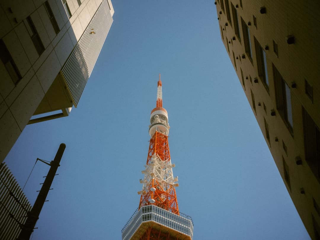 陈哲远像七夕报备的男友 满分男友感
